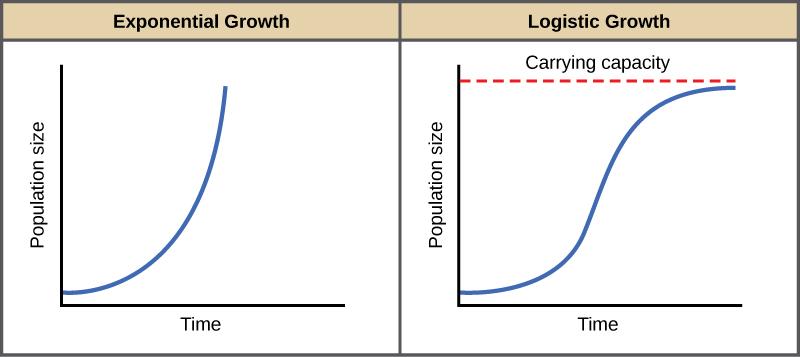 Tips for å håndtere eksponentiell vekst